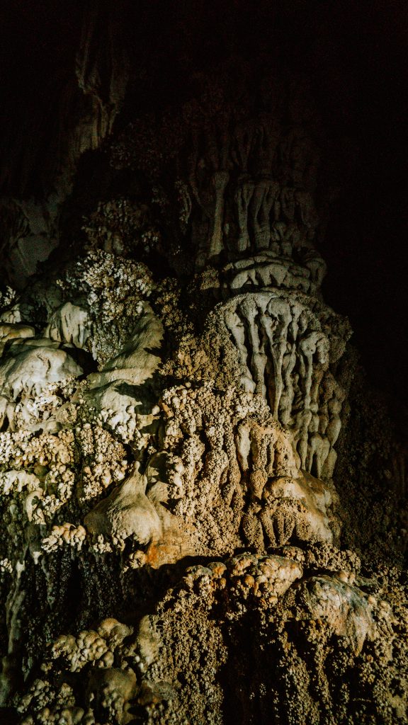 Djungeltripp och enorma grottor i Vietnam