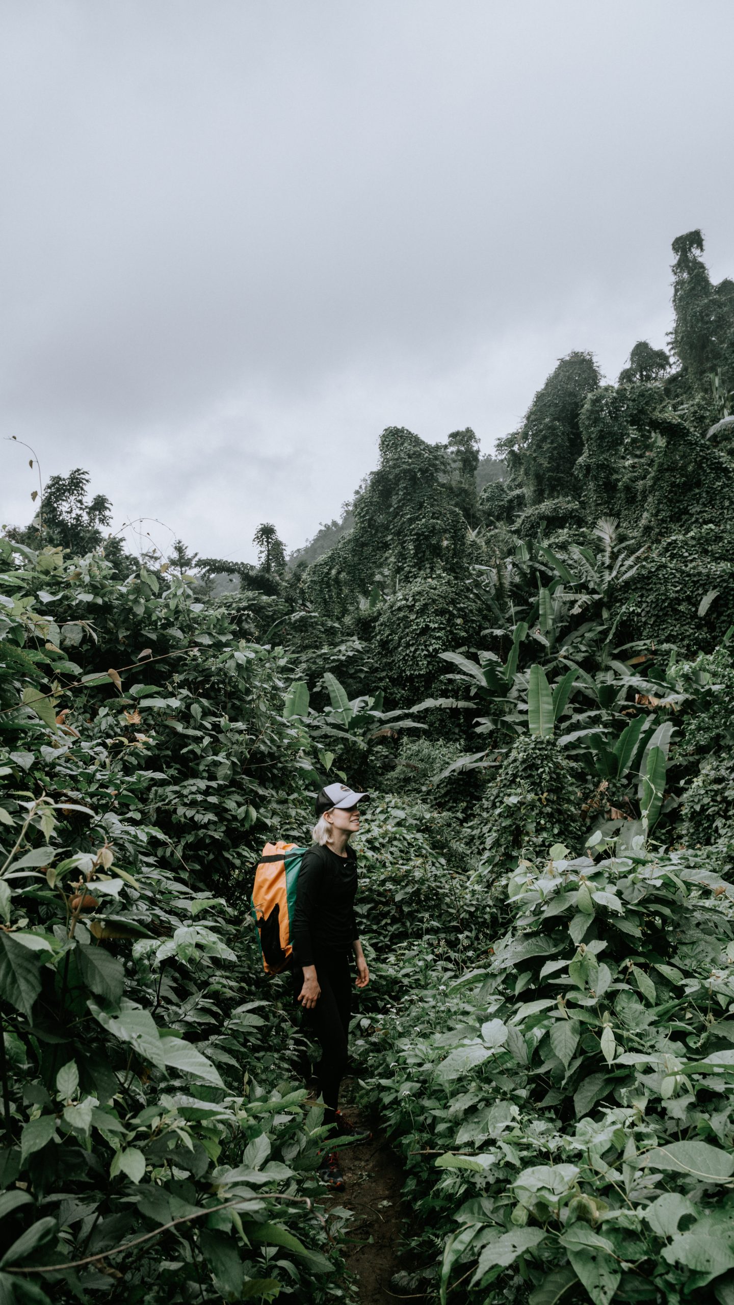 Djungeltripp och enorma grottor i Vietnam